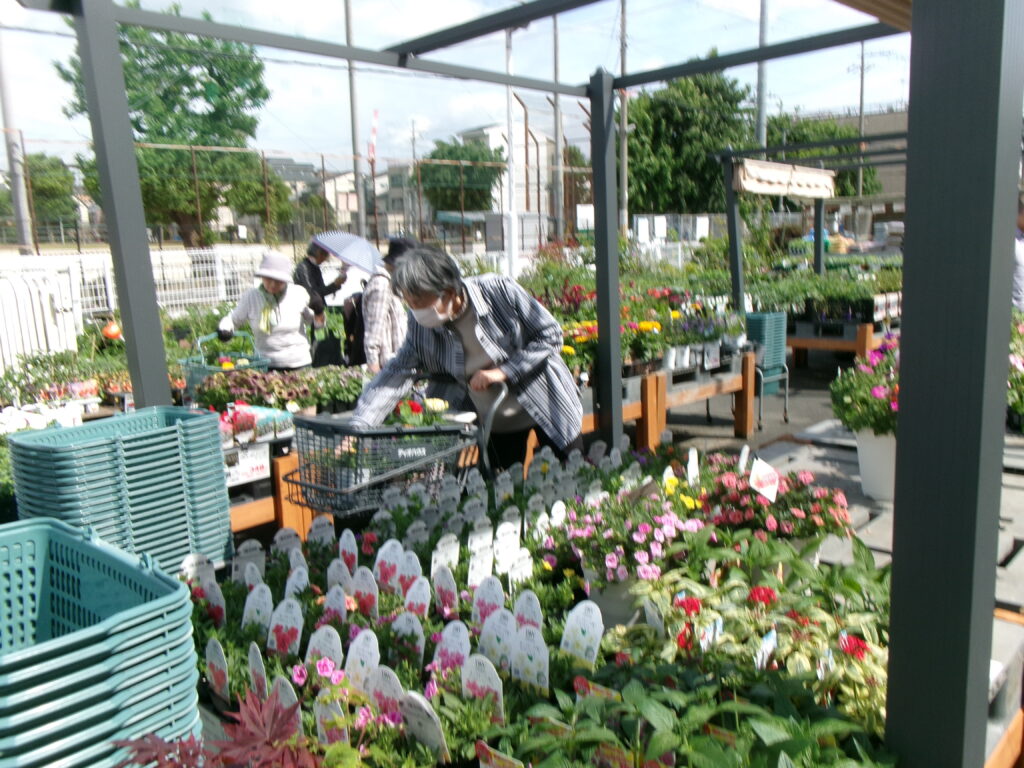 園芸レクリエーション